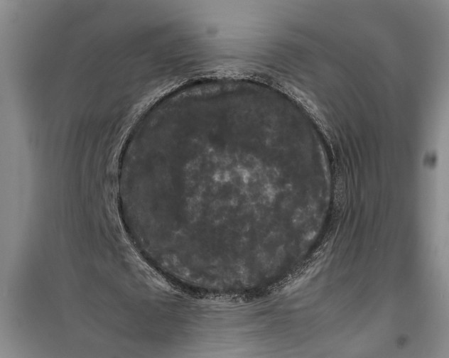 X0000099410673200805301346