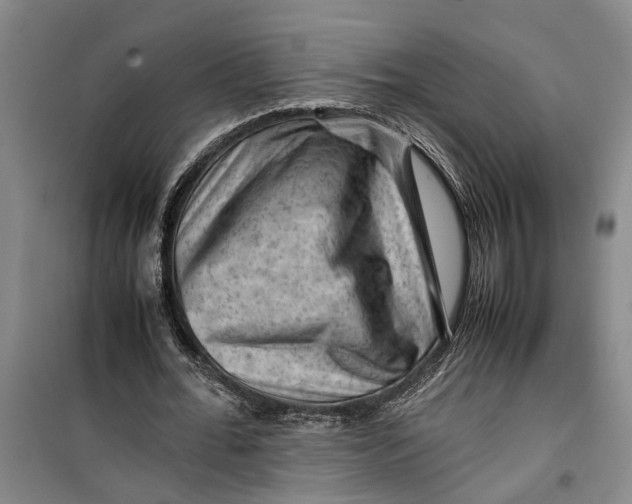 X0000099410676200805301346