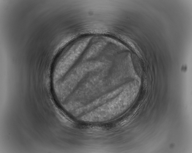 X0000099410677200805301346