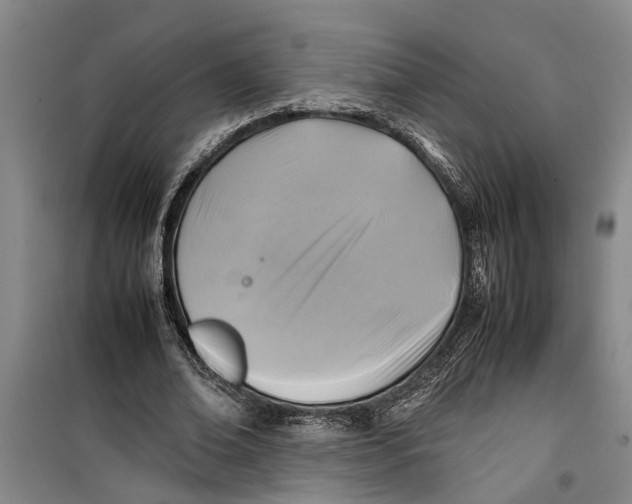 X0000099410678200805301346