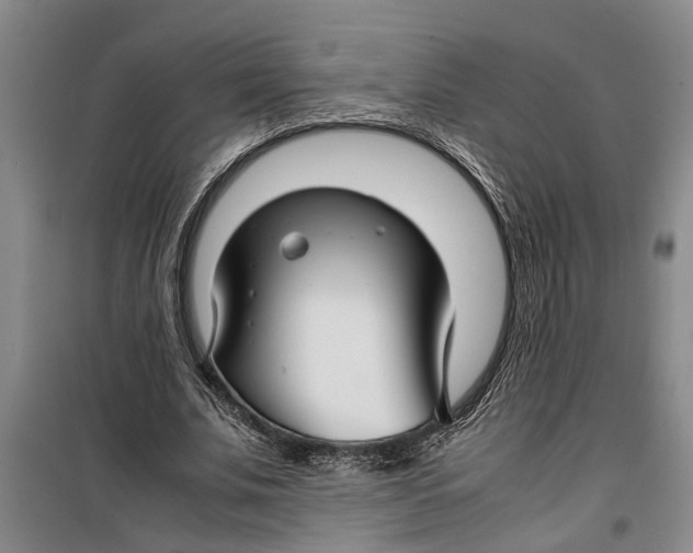 X0000099410679200805301346