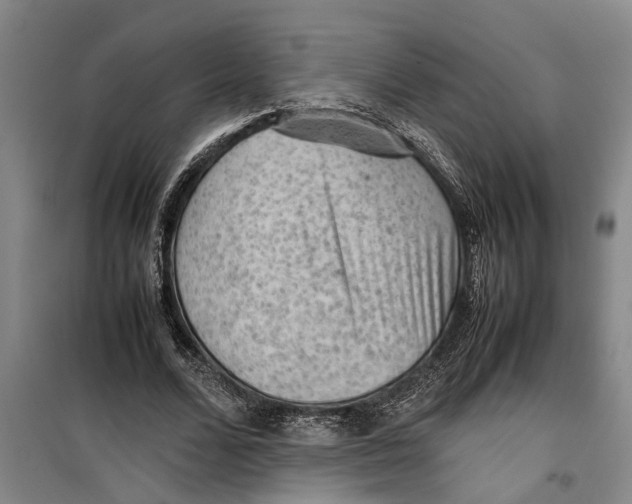 X0000099410680200805301346