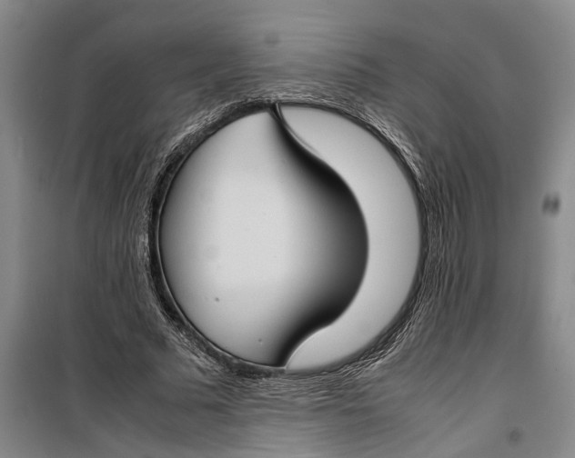 X0000099410681200805301346