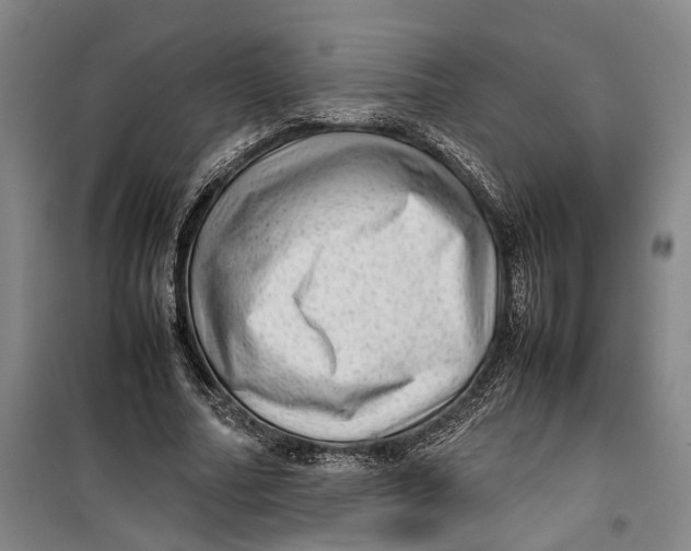 X0000099410682200805301346