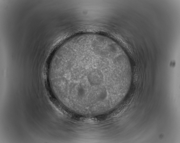 X0000099410683200805301346