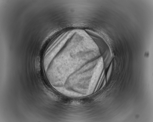 X0000099410684200805301346