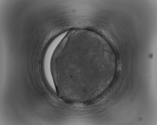 X0000099410685200805301346