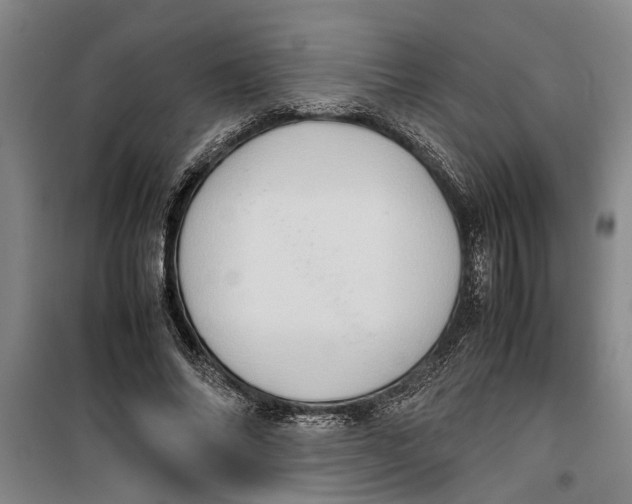 X0000099410686200805301346