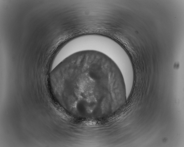 X0000099410687200805301346