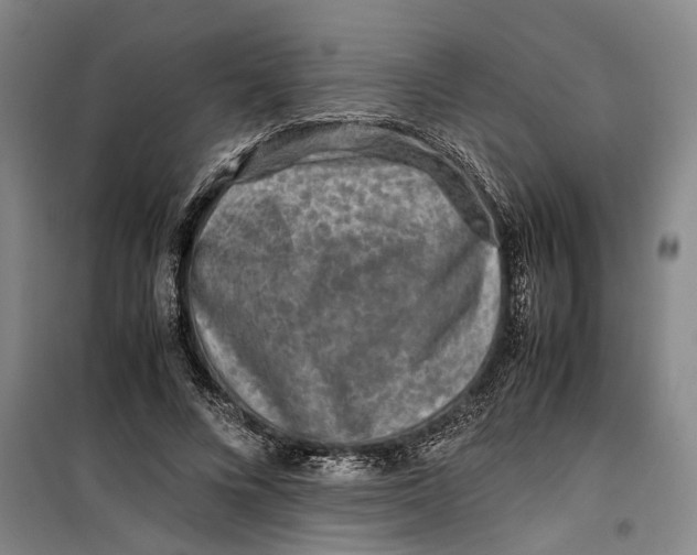 X0000099410688200805301346