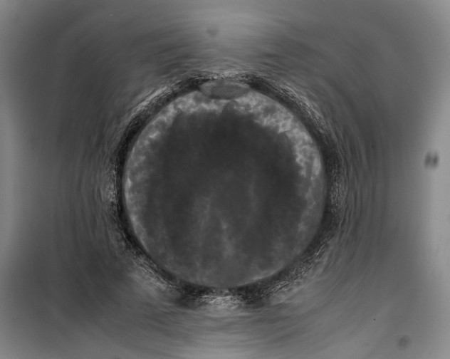 X0000099410689200805301346