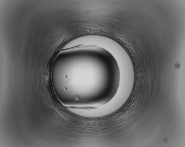 X0000099410691200805301346