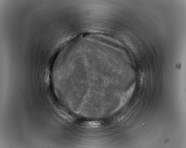 X0000099410692200805301346