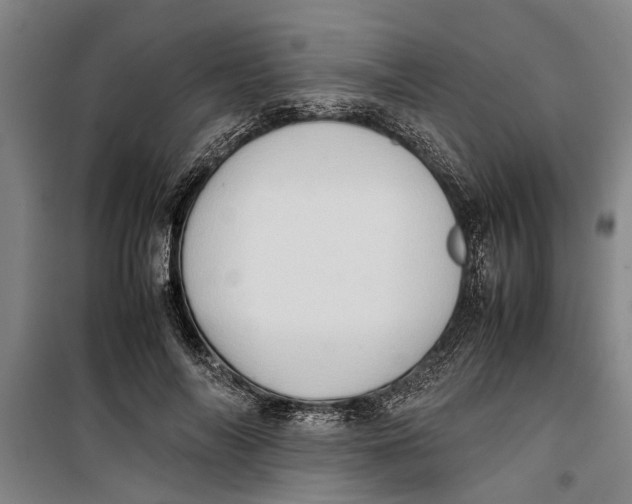 X0000099410694200805301346