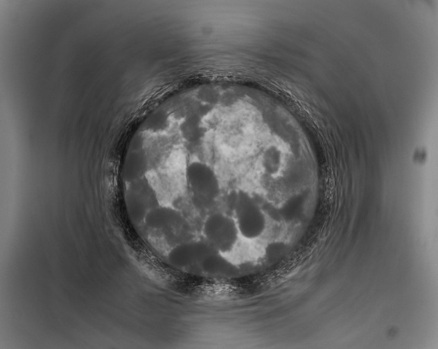 X0000099410695200805301346