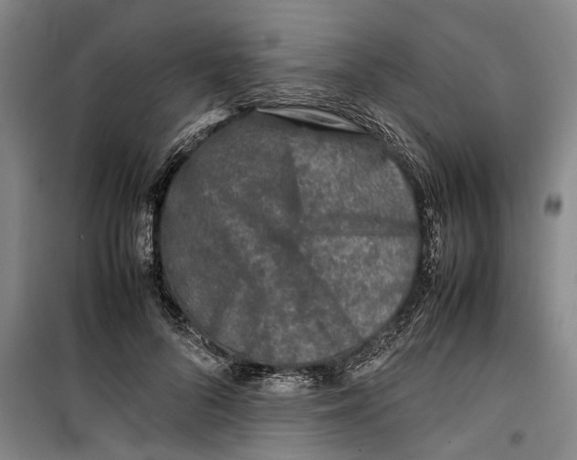 X0000099410696200805301346