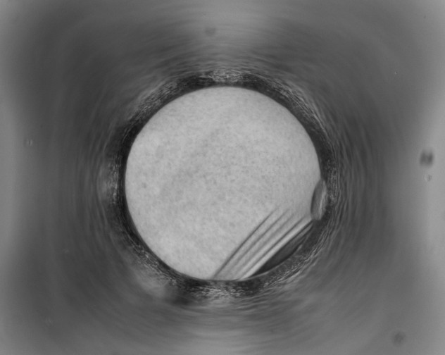 X0000099410697200805301346