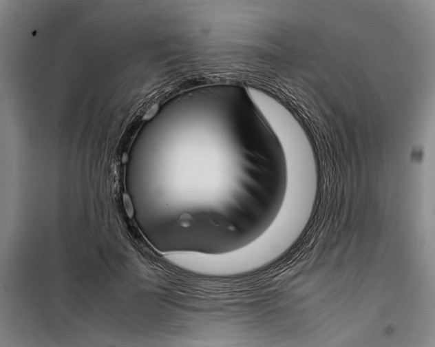 X0000099410699200805301346