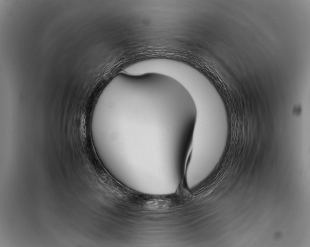 X0000099410700200805301346