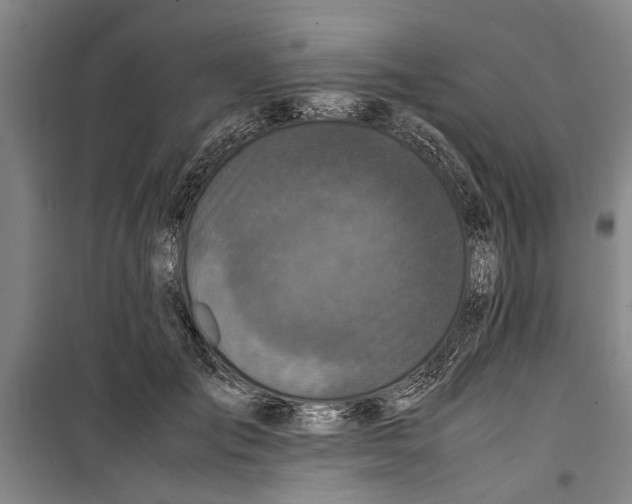 X0000099410701200805301346