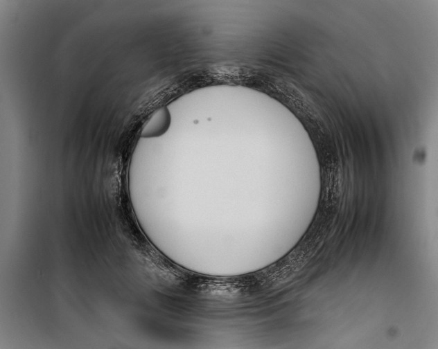 X0000099410702200805301346