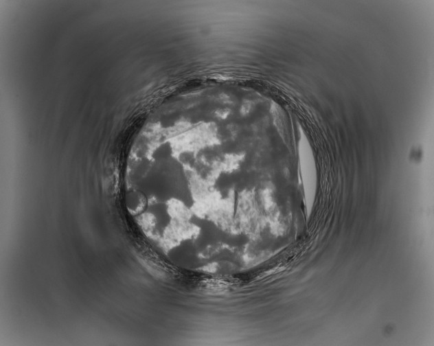 X0000099410703200805301346