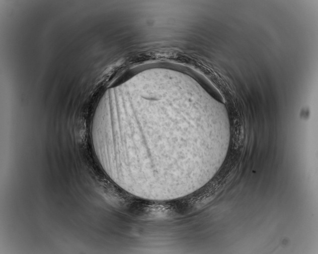 X0000099410704200805301346