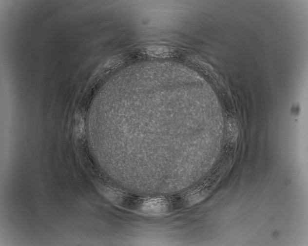 X0000099410705200805301346