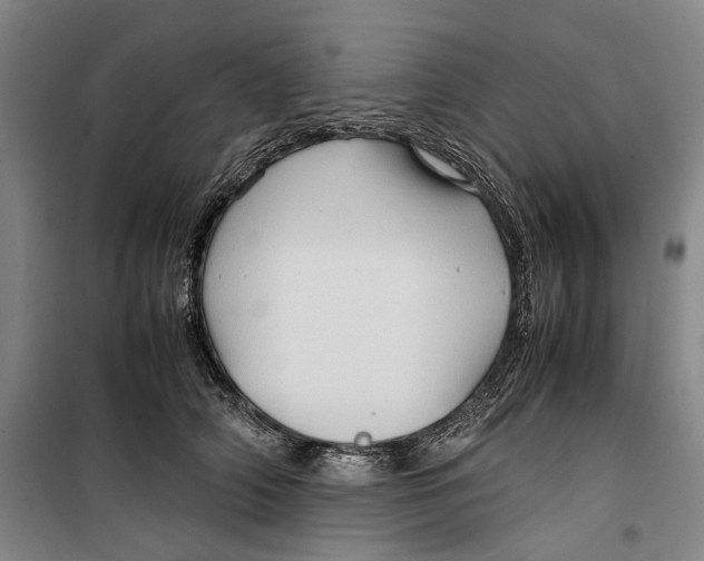 X0000099410706200805301346