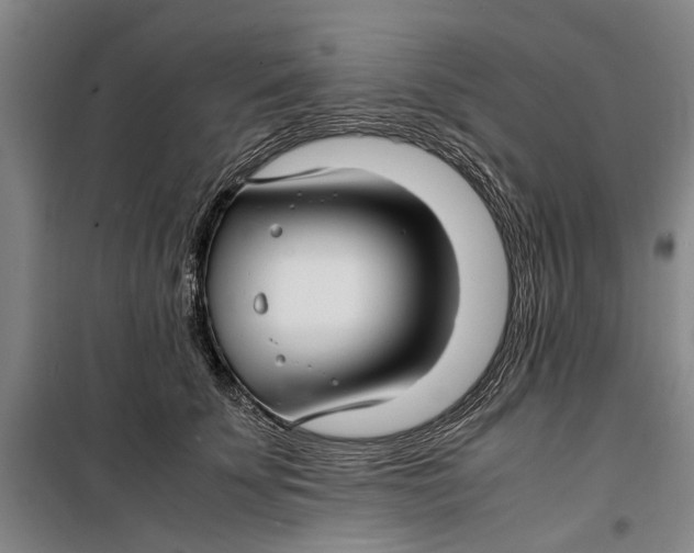 X0000099410707200805301346