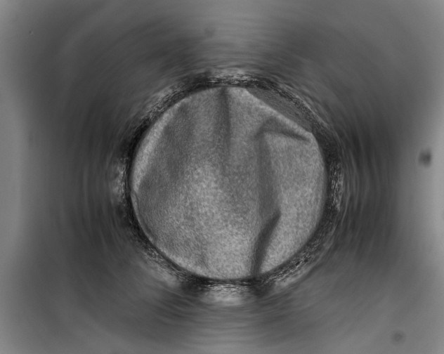 X0000099410708200805301346