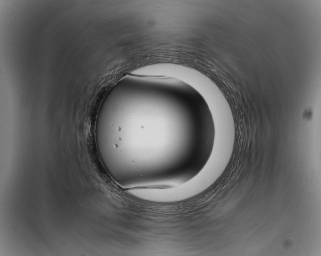 X0000099410711200805301345