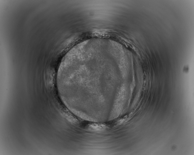 X0000099410712200805301345