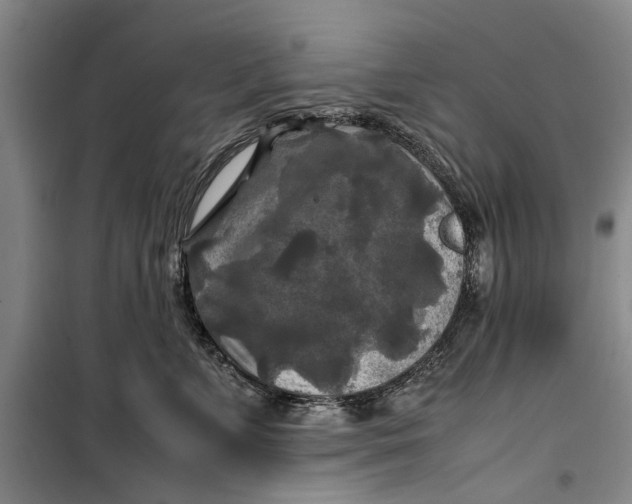 X0000099410715200805301345