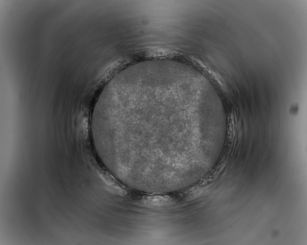 X0000099410716200805301345