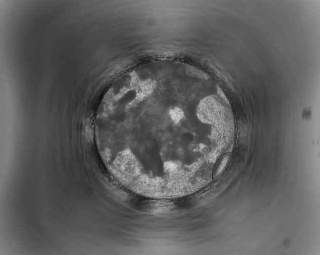 X0000099410719200805301345