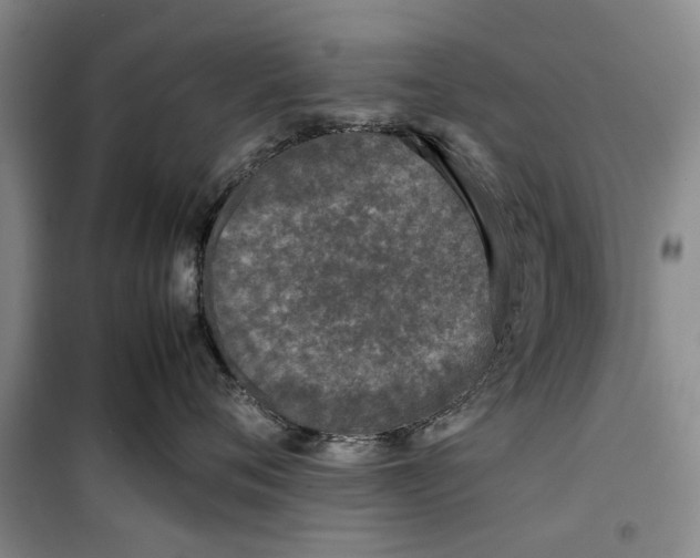 X0000099410720200805301345