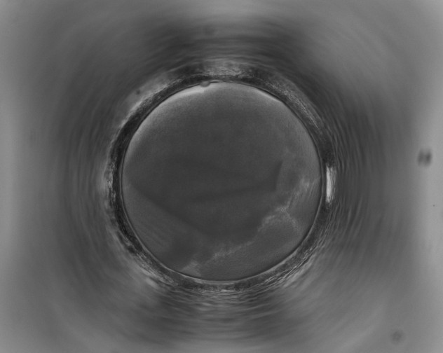 X0000099410723200805301345