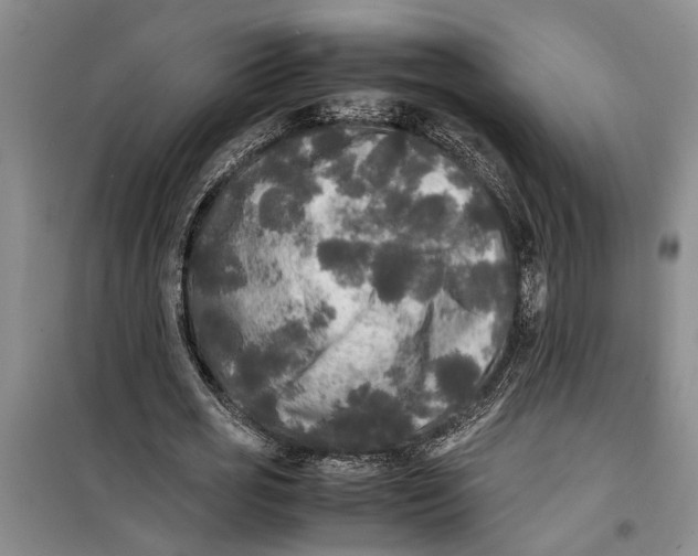 X0000099410725200805301345