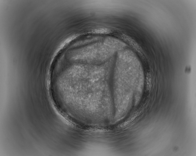 X0000099410726200805301345