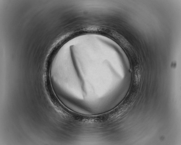 X0000099410728200805301345