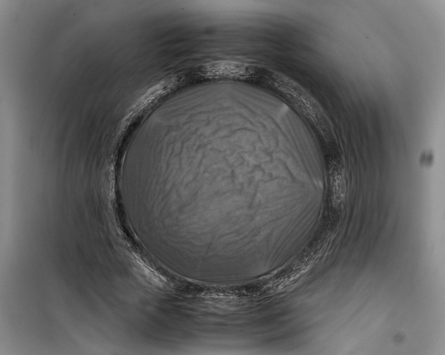 X0000099410729200805301345