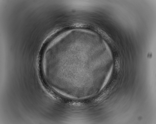 X0000099410730200805301345