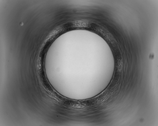 X0000099410731200805301345