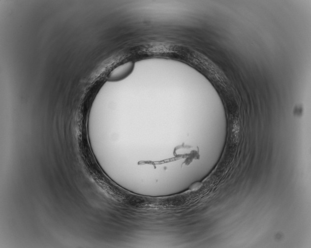 X0000099410732200805301345