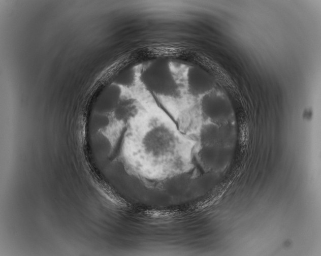 X0000099410733200805301345