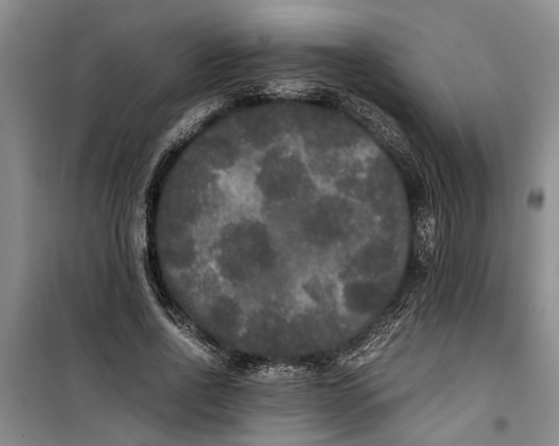 X0000099410734200805301345