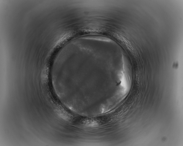 X0000099410735200805301345