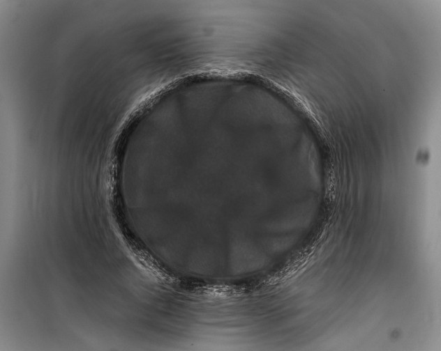 X0000099410736200805301345