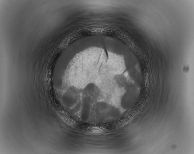 X0000099410737200805301345